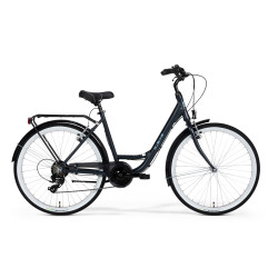 Rower M_Bike Cityline 726