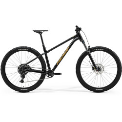 Rower MERIDA BIG.TRAIL 300